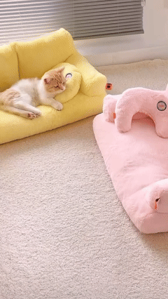 CuddleCloud™ En harmonisk viloplats som smälter in i hemmet och ger ditt husdjur en trygg och avslappnad vila, dag efter dag.