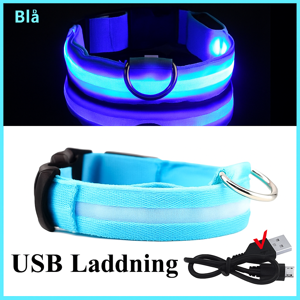 Reflecta™ LED Halsband för Hund & Katt