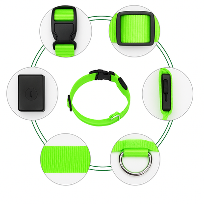 Reflecta™ LED Halsband för Hund & Katt