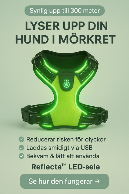 Reflecta™ LED-sele  Trygghet, komfort och stil i ett