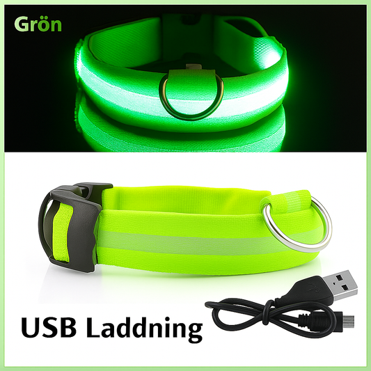 Reflecta™ LED Halsband för Hund & Katt