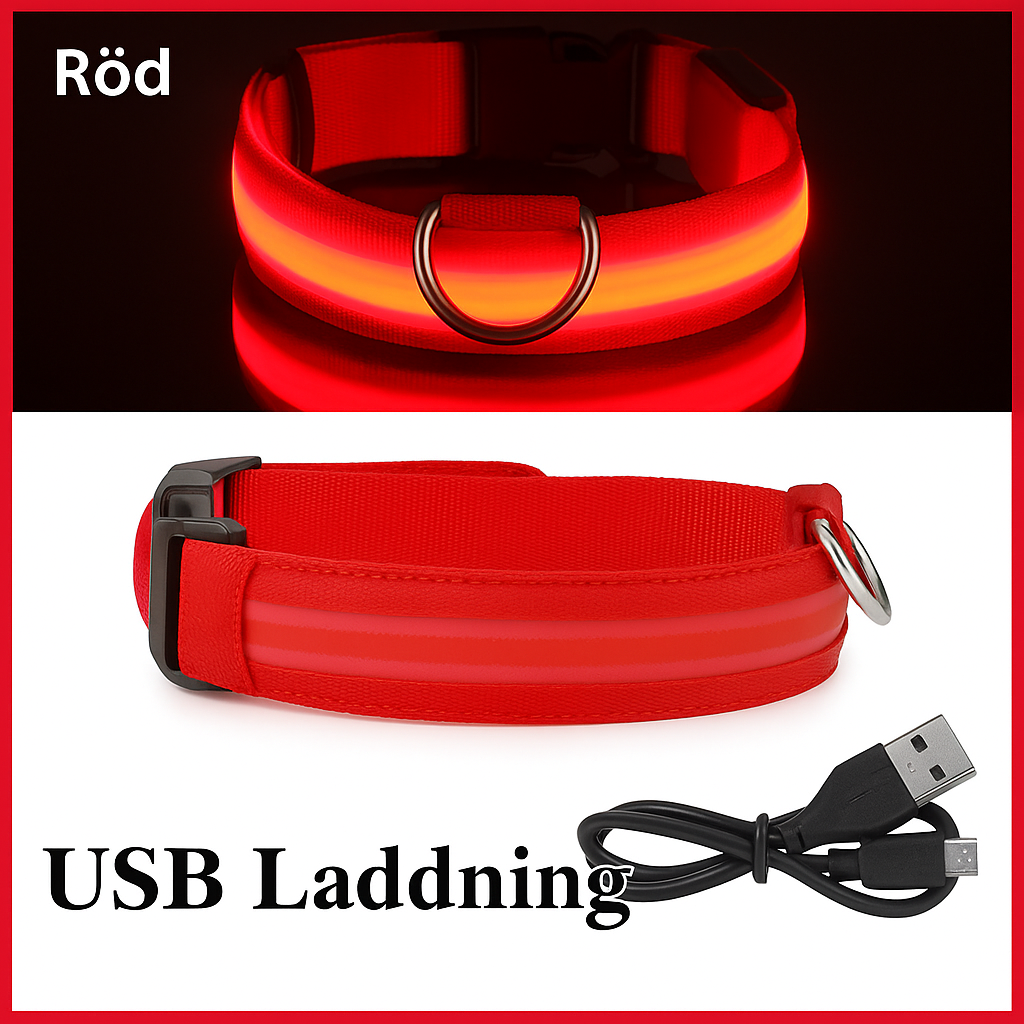 Reflecta™ LED Halsband för Hund & Katt
